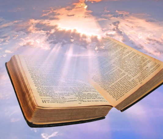 Devotional for Women | Daily Inspiration & Prayer illustration 